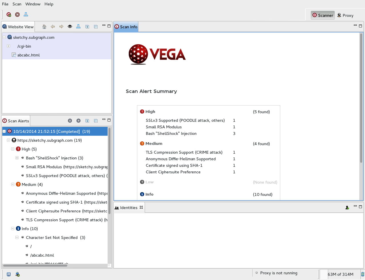 Vega HTTPS Config Probes